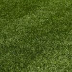 stampede-banner-e1739148373614
