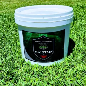 MAINTAIN - Premium Fertiliser by Buchanan Turf