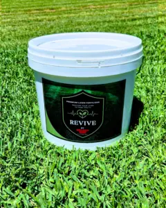 Revive